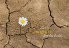 Eschbacher Textkarte. Mauerblümchen