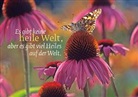 Eschbacher Textkarte. Heile Welt