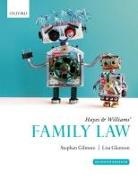 Stephen Gilmore, Stephen (Barrister Gilmore, Gilmore Stephen, Lisa Glennon, Lisa (Independent legal researcher and author. Formerly Lecturer in Law Glennon, Glennon Lisa - Hayes & Williams'' Family Law