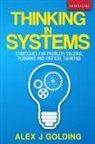 Alex J Golding, Alex J Golding - Thinking in Systems