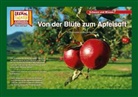 Verena Sangu - Von der Blüte zum Apfelsaft / Kamishibai Bildkarten