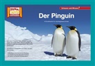 Der Pinguin / Kamishibai Bildkarten