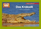 Das Krokodil / Kamishibai Bildkarten