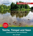 Svenja Ernsten - Teiche, Tümpel und Seen