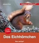 Johanna Prinz - Das Eichhörnchen