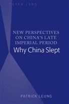 Patrick Leung - New Perspectives on China's Late Imperial Period