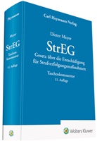 Dieter Meyer - StrEG - Kommentar