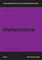 Martin Eisend - Metaanalyse