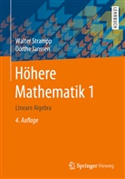 Dörthe Janssen, Walte Strampp, Walter Strampp - Höhere Mathematik - 1: Lineare Algebra