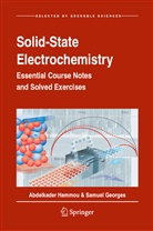 Samuel Georges, Abdelkade Hammou, Abdelkader Hammou - Solid-State Electrochemistry