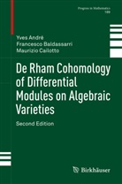 Yve André, Yves André, Francesc Baldassarri, Francesco Baldassarri, Mauri Cailotto, Maurizio Cailotto - De Rham Cohomology of Differential Modules on Algebraic Varieties