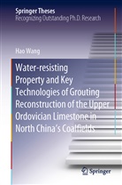 Hao Wang - Water-resisting Property and Key Technologies of Grouting Reconstruction of the Upper Ordovician Limestone in North China's Coalfields