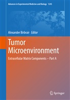 Alexande Birbrair, Alexander Birbrair - Tumor Microenvironment