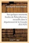 Académie Nationale Des Sciences Des Bell, Académie Nationale Des Sciences Des Belles-Lettres Et Arts, Jean-Baptiste-Bazile Billaudel, Billaudel-J B B - Note sur quelques ossements