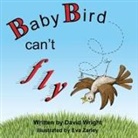 David Wright, Eva Zarley - Baby Bird Can't Fly