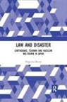 Shigenori Matsui, Matsui Shigenori, Shigenori Matsui - Law and Disaster
