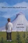 Sean Webb - What Cannot Stay Small Forever