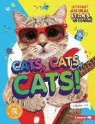 Rebecca Felix - Cats, Cats, Cats!
