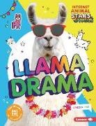 Rebecca Felix - Llama Drama