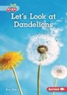 Katie Peters - Let's Look at Dandelions