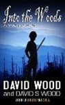David Wood, David S. Wood - Into the Woods