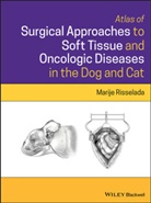 M Risselada, Marije Risselada - Atlas of Surgical Approaches to Soft Tissue and Oncologic Diseases