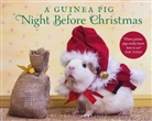 Clement Clark Moore, Clement Clarke Moore, Clement Clarke Newall Moore, Tess Newall, Newall Tess - Guinea Pig Night Before Christmas