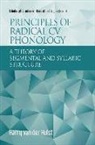 Harry Van Der Hulst, Harry van der Hulst - Principles of Radical CV Phonology