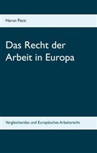 Harun Pacic - Das Recht der Arbeit in Europa