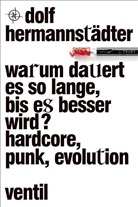 Dolf Hermannstädter - Warum dauert es so lange, bis es besser wird?