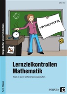 Julian Stey - Lernzielkontrollen Mathematik 7./8. Klasse