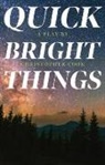 Christopher Cook - Quick Bright Things