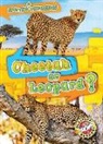 Kirsten Chang - Cheetah or Leopard?