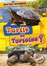 Kirsten Chang - Turtle or Tortoise?