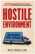 Maya Goodfellow - Hostile Environment