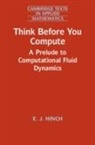E.J. HINCH, E. J. Hinch, E. J. (University of Cambridge) Hinch - Think Before You Compute