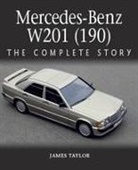 James Taylor - Mercedes-Benz W201 (190)