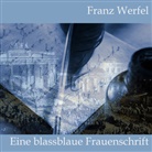 Franz Werfel, Jan Koester - Eine blassblaue Frauenschrift, Audio-CD, MP3 (Audiolibro)