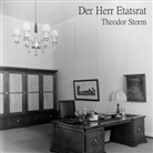 Theodor Storm, Hans Jochim Schmidt - Der Herr Etatsrat, Audio-CD, MP3 (Hörbuch)