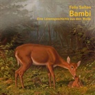 Felix Salten, Marlene Weber - Bambi, Audio-CD, MP3 (Audio book)