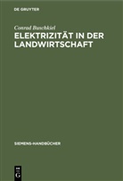 Conrad Buschkiel - Elektrizität in der Landwirtschaft