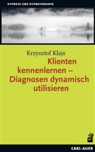 Krzysztof Klajs - Klienten kennenlernen - Diagnosen dynamisch utilisieren
