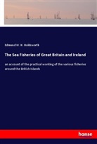 Edmund W H Holdsworth, Edmund W. H. Holdsworth - The Sea Fisheries of Great Britain and Ireland