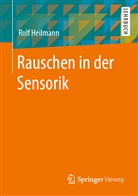 Rolf Heilmann - Rauschen in der Sensorik