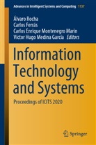 Car Enrique Montenegro Marin et al, Carlo Ferrás, Carlos Ferrás, Víctor Hugo Medina García, Carlos Enrique Montenegro Marin, Álvaro Rocha - Information Technology and Systems