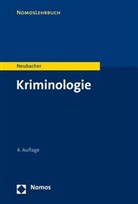Frank Neubacher - Kriminologie