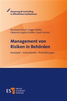 Bernhard Hirsch, Bernhard (Univ.-Prof. Dr. Hirsch, Bernhard (Univ.-Prof. Dr.) Hirsch, Fabienne-Sophie Schäfer, Josef Schmid, Jürgen Weber... - Management von Risiken in Behörden