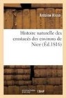 Antoine Risso, Risso-a - Histoire naturelle des crustaces