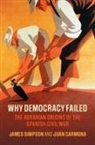 Juan Carmona, Juan (Universidad Carlos III de Madrid) Carmona, James Simpson, James (Universidad Carlos III De Madrid) Simpson - Why Democracy Failed