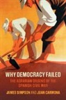Juan Carmona, James Simpson, James (Universidad Carlos III De Madrid) Simpson - Why Democracy Failed